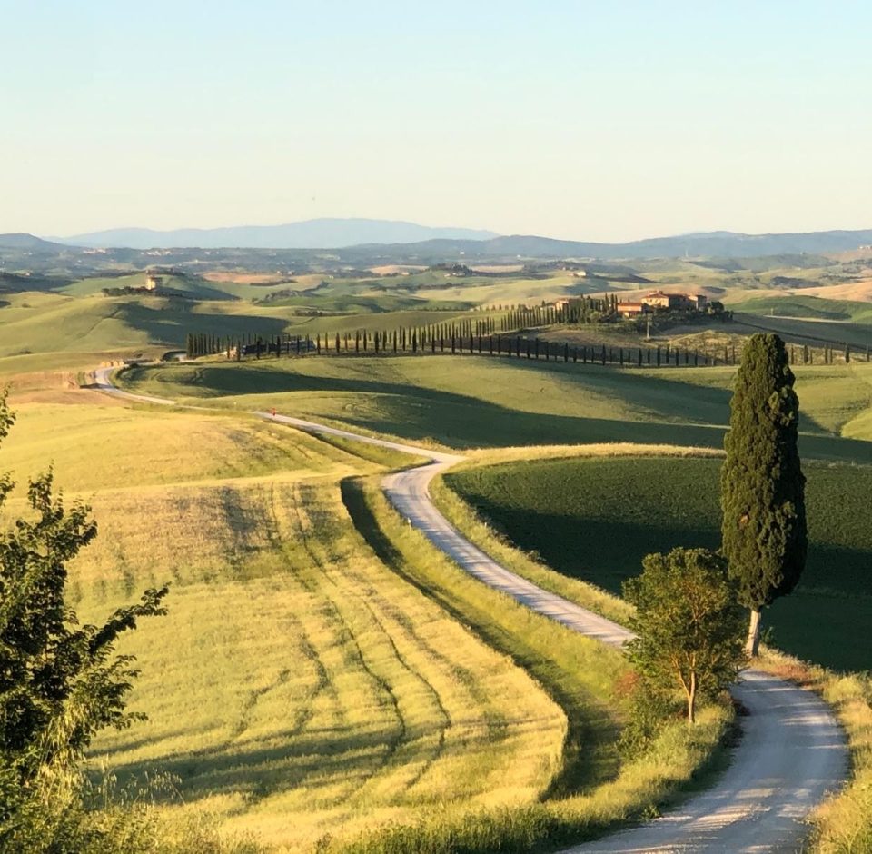 corsano1